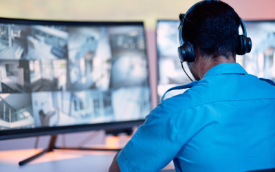 Seguridad Empresarial